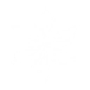 Outro
